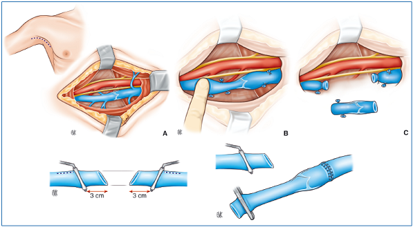 Figure 29