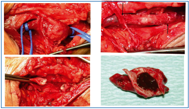 Figure 34