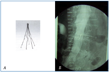 Figure 24