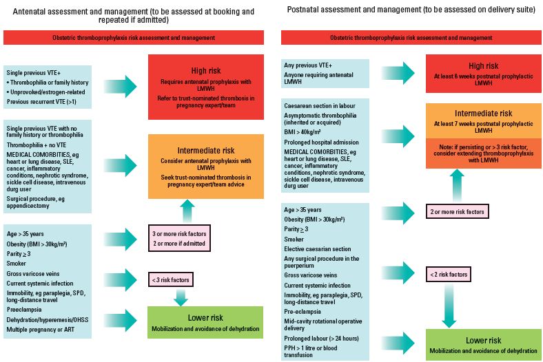 Hypertency Hypertensive Disorder In Pregnancy Rcog