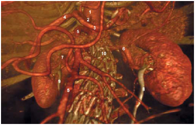 Figure 5 Figure 5
