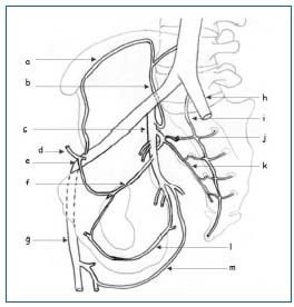 Mkb varicoza vene de pelvis mic, ICD 10, varice ale picioarelor