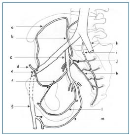 Varicose pelvis este Varicose pelvis decât periculos - Varicele pelvisului mic la femei - Motivele