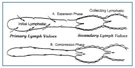 Figure 1 Figure 1