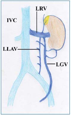 Figure 1 Figure 1
