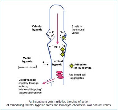 Figure 2 Figure 2