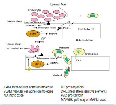 Figure 4 Figure 4