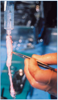 Figure 1 Figure 1