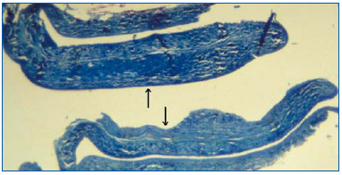 Figure 3 Figure 3