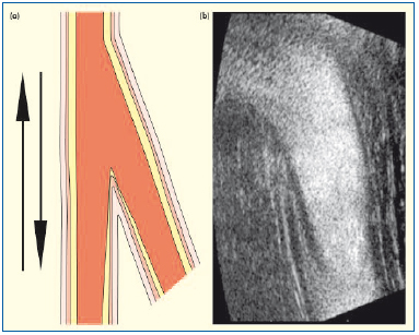 Figure 8