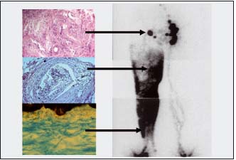 Figure 15 Figure 15