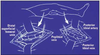 Figure 6 Figure 6