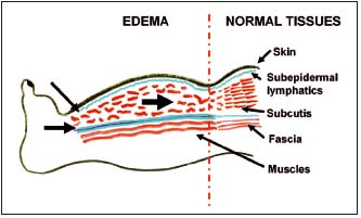 Figure 9 Figure 9
