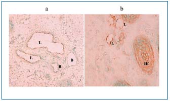Figure 4 (a, b)