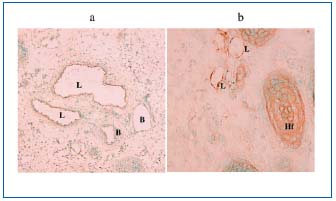 Figure 4 (a, b)