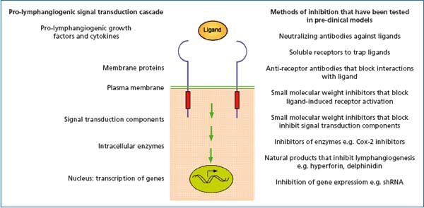 Figure 2 Figure 2