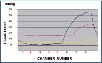 Figure 6b