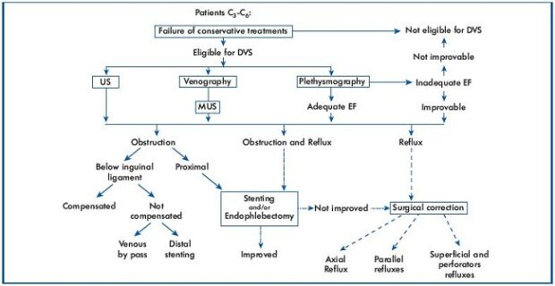 Figure 7. Diagnostic and therapeutic strategy.