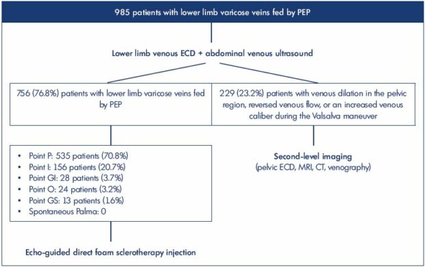 Figure 1. Study population and diagnostic flow chart. Abbreviations: CT, computed tomography; ECD, echo color Doppler; GI, inferior gluteal point; GS, superior gluteal point; I, inguinal point; MRI, magnetic resonance imaging; O, obturator point; P, perineal point; PEP, pelvic escape point.