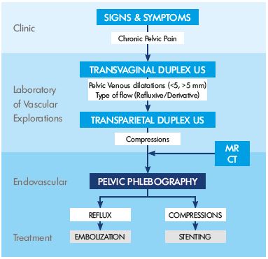 Figure 1. Algorithm for diagnosing pelvic congestion syndrome. Abbreviations: MR, magnetic resonance; CT, computer tomography