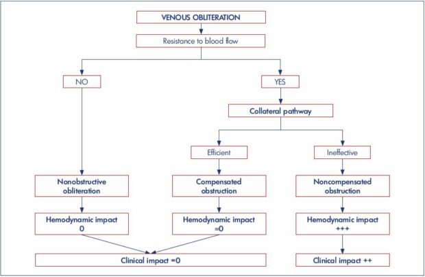 Pathophysiology of venous obstruction