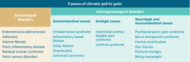 Flank pain radiating to the suprapubic region